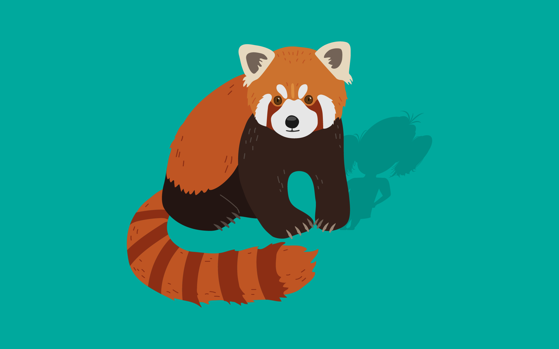 What a big red panda can teach us about the joy and chaos of teenage life